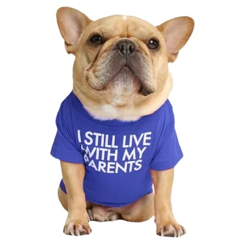 Vara Haine de Câine, pentru animale de Companie de Îmbrăcăminte Vesta,Mici și Mijlocii Câini Rece Respirabil Subțire T-shirt franceză Coridă Teddy Pulover Moda