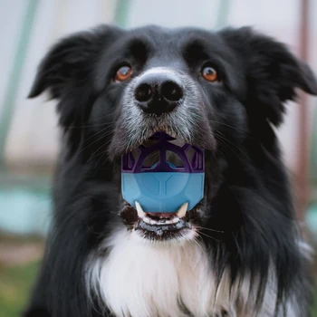 Minge de câine Jucării pentru animale de Companie de Curățare Dinte de Câine de Curățare Dinte Jucarie Minge Puzzle Câine Bile Trata Câine de Distribuire Bile Non-Toxice Mesteca Câine